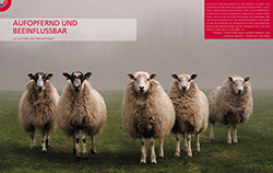 Leseprobe lesen
